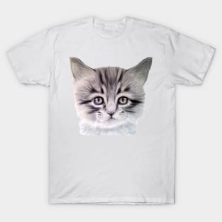 Kitten T-Shirt